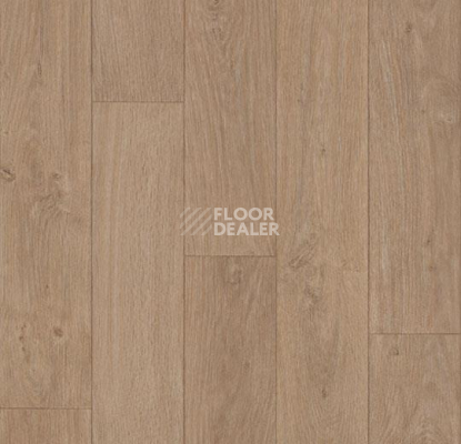 Линолеум Forbo Eternal Wood 12832 natural oak фото 1 | FLOORDEALER